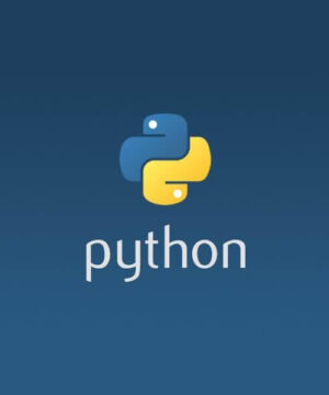 Подготовительный курс по Python разработке