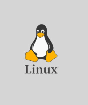 Linux с нуля - видеокурс