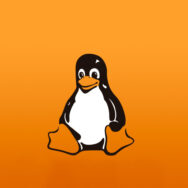 Курс Администратор Linux. Виртуализация и кластеризация