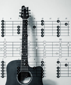 Основы музыкальной теории для гитаристов